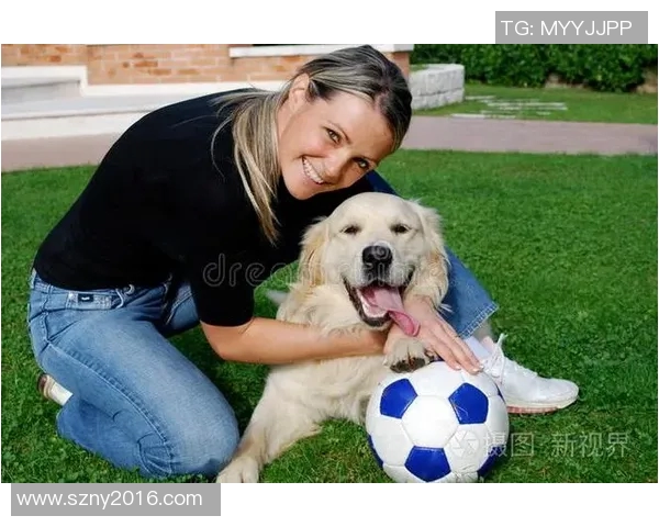 哈士奇足球明星的名字揭晓了你知道他是谁吗