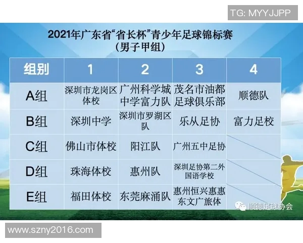 浙江省退役足球明星的辉煌历程与对青少年足球发展的影响探讨